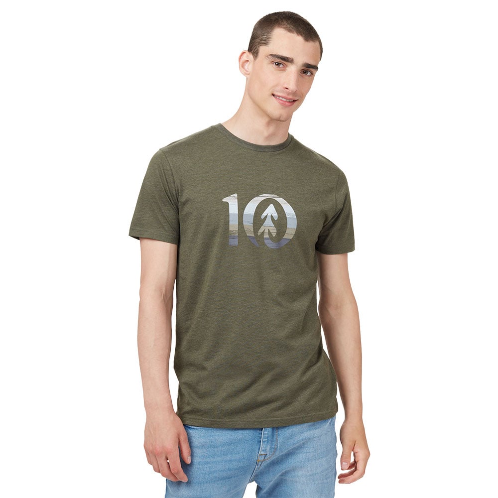 Tentree Mens Spruce Stripe Ten T-Shirt