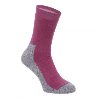 Silverpoint Comfort Hiker Socks - Ibis Rose