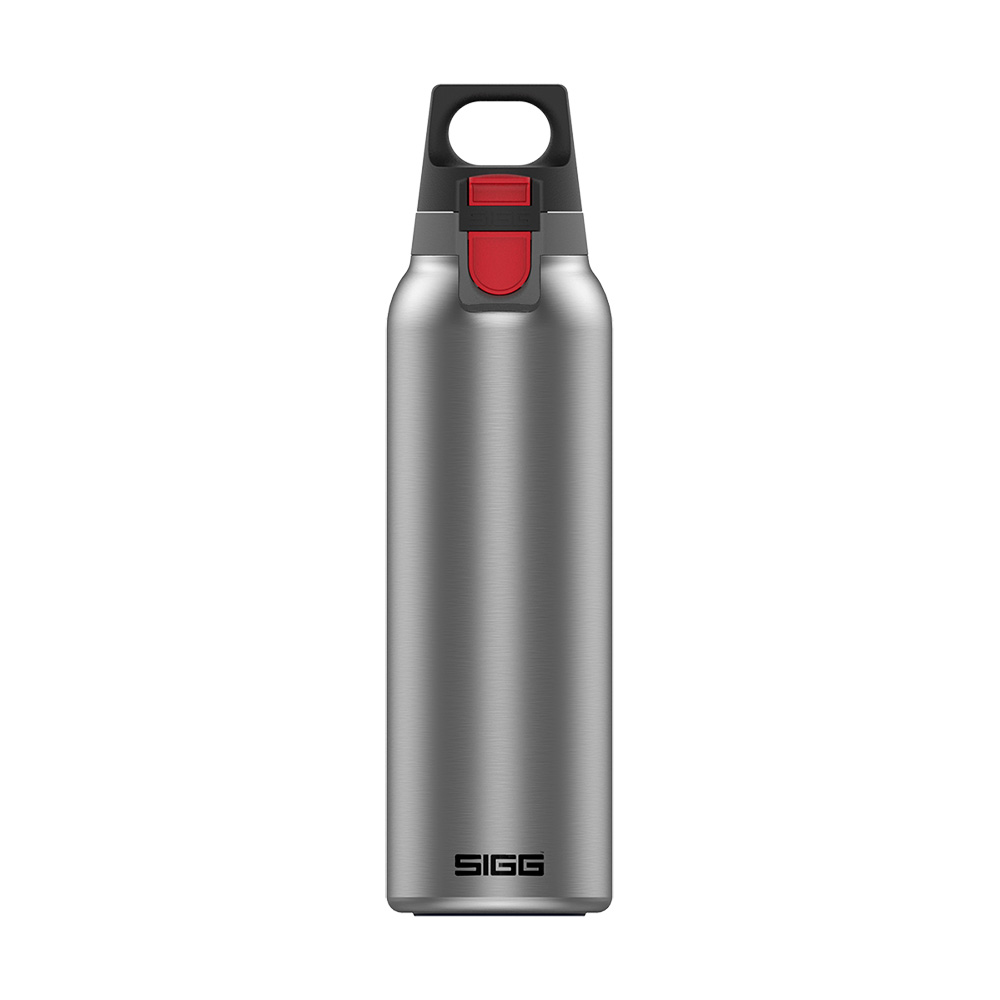 Photos - Other goods for tourism SIGG Thermo Flask Hot & Cold One Light - 0.55L  0000101537894 (Brushed)