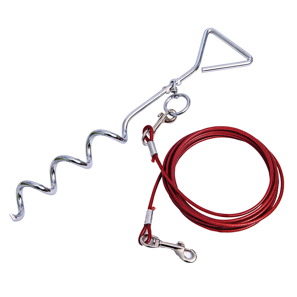 Quest Pet Anchor with 4m Lead