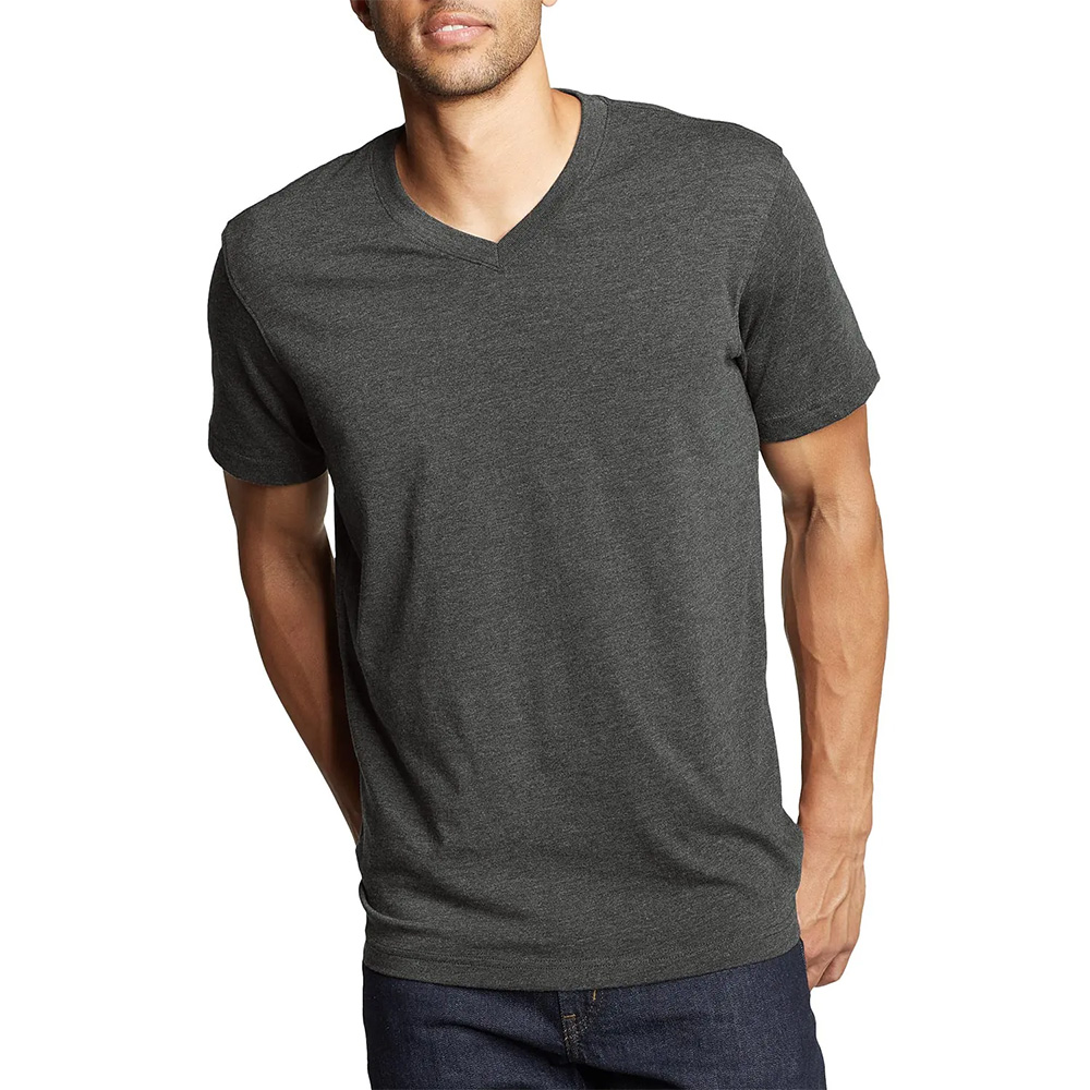 Eddie Bauer Mens Legend Washpro Short Sleeved V-Neck T-Shirt (Dark Charcoal)