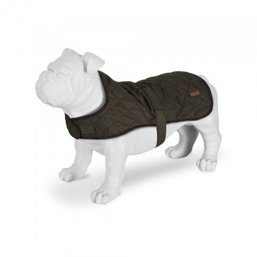 Regatta Odie Quilted Insulated Dog Coat (Khaki) - Model 1