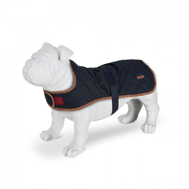 Regatta Odie Quilted Insulated Dog Coat (Navy) | Winfields Outdoors