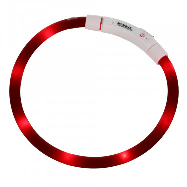 Regatta LED Dog Collar (Red)