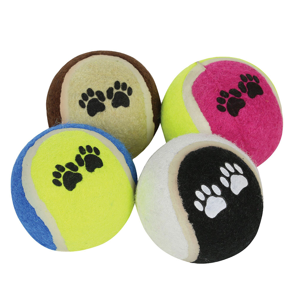 Regatta Dog Tennis Ball Set - 4 Pack