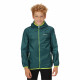 Regatta Kids Lever II Waterproof Jacket (Pacific Green)