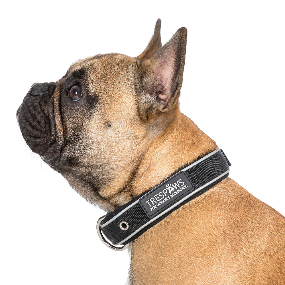 Trespaws Keira Reflective Dog Collar