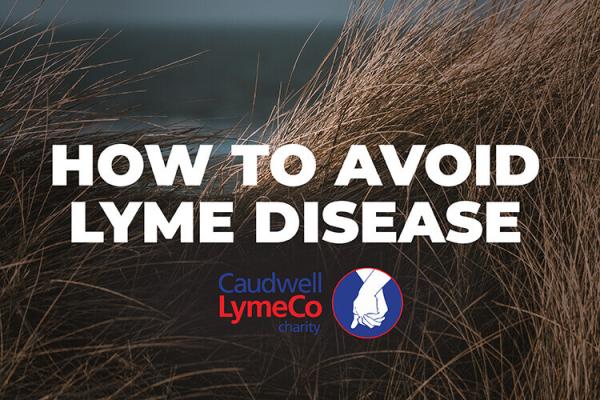 How to Avoid Lyme Disease