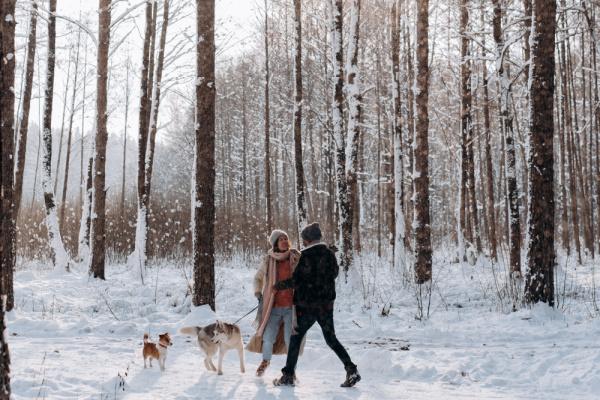 Best Boxing Day Walks and Trails