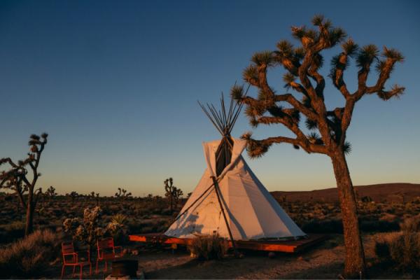 Why Should I Go Glamping?