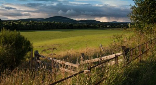 Expert Advice On Looking After The Countryside