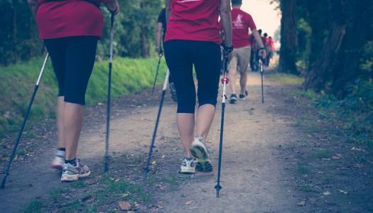 Everything you need to know about Nordic Walking