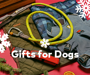 Shop Xmas Gifts for Dogs