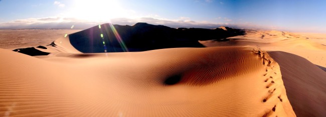 How To Survive In The Desert: An Essential Guide | Winfields
