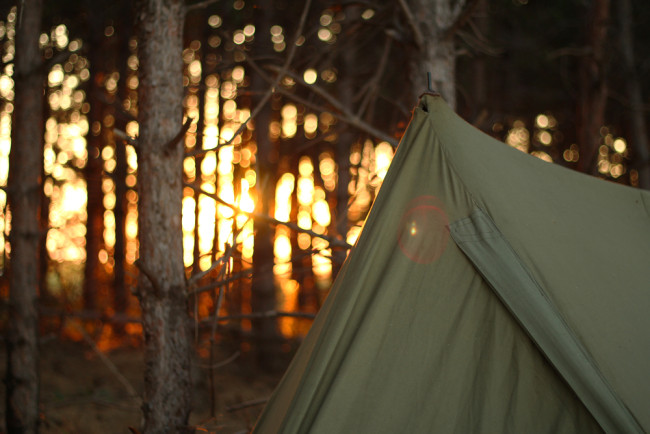 Tent in a forest at sunset