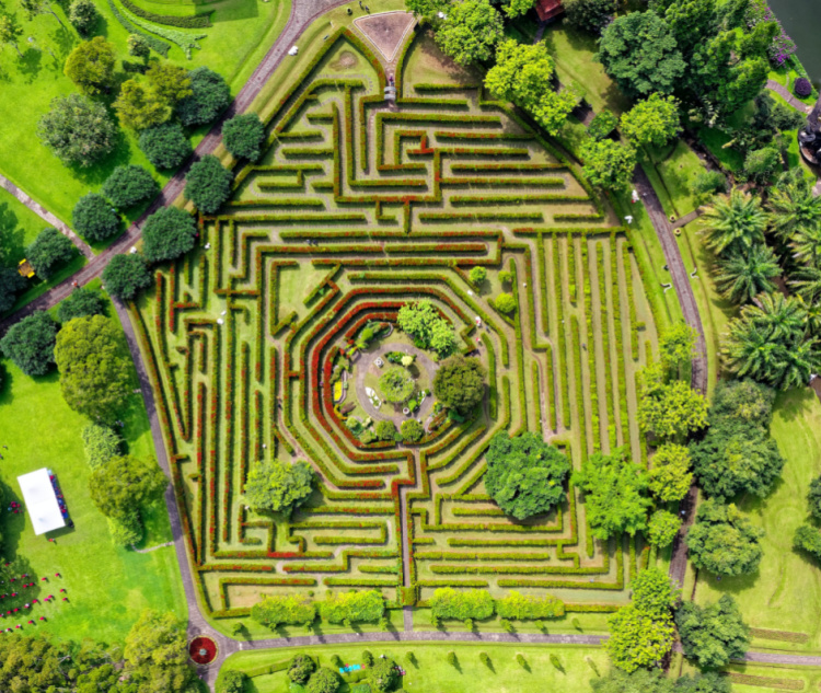 Get lost in a maze
The idea of getting lost in a maze with your significant other may not be everyone’s idea of fun – however, if you and your loved one enjoy partaking in activities that require you to work as a duo, we would highly recommend getting stuck into an outdoor activity like this one! 
In our opinion, getting lost in a maze is guaranteed to provide plenty of fun and frolics, and it’s something a little bit different from your usual couples activities. And if you do need to take the kids with you, they’ll love it too!
Hampton Court has probably the most famous maze, but there are plenty of brilliant ones around the UK, including the Noah’s Ark Maze in Somerset (longest hedge maze in the world), the stunning Longleat Hedge Maze, and the Amazing Cornish Maize Maze in Cornwall.
