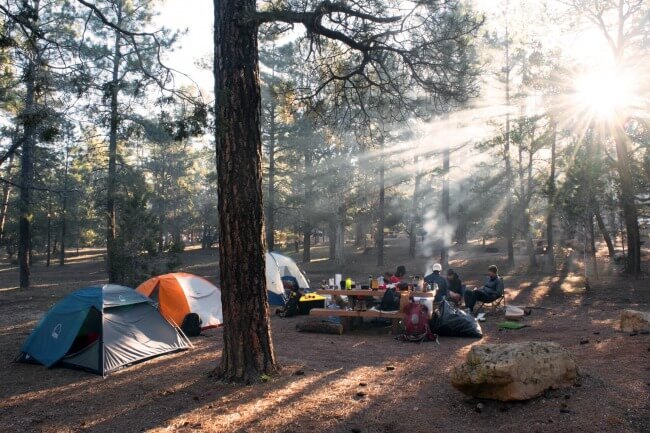 People camping in a forest