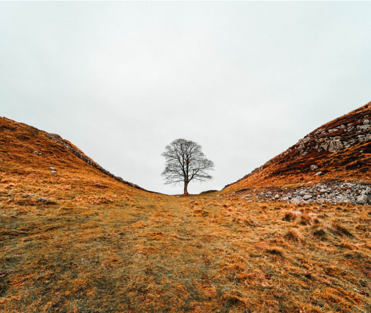 Sycamore Gap is just one part of most of the spectacular stretch of Hadrian’s Wall and takes you up to Housesteads Roman Fort. There are incredible views across the glacial loughs of Crag, Greenlee, Broomlee and Grindon. There’s a footpath running along most of the Wall, including this stretch, though it can be a little squelchy and wet underfoot.
This is a short walk that can be extended along Hadrian’s Wall or to Crag Lough and there are excellent pubs close by, too, for a post-walk drink.
Read more: What is a Gilet? Bodywarmer & Gilet Buying Guide
