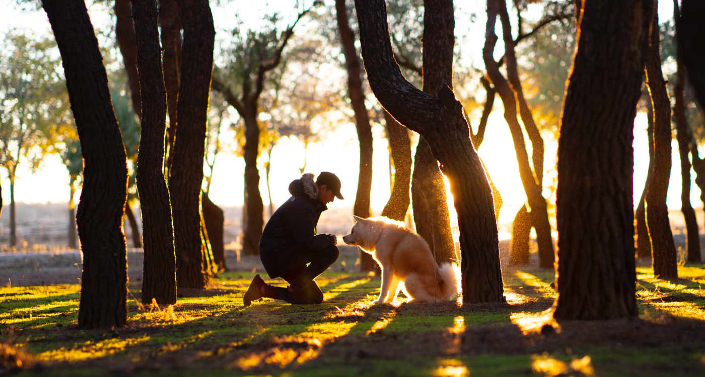 There’s nothing better than being able to enjoy a blissful outdoor holiday with your furry companion.
